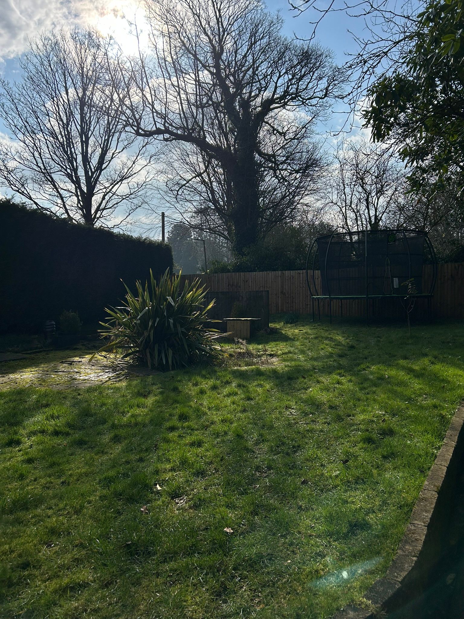 The Lighthouse garden